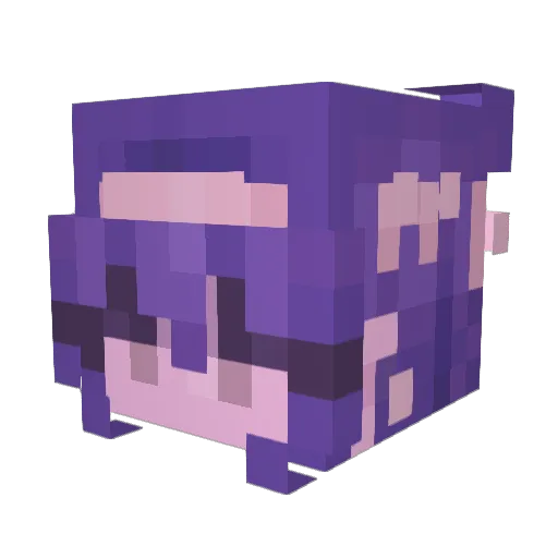 idolo6 Minecraft avatar head, 3D render