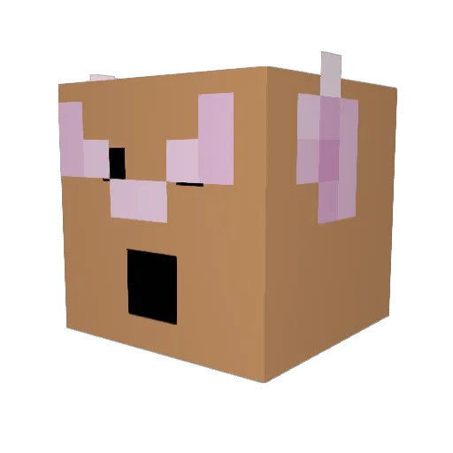 idontcare5874 Minecraft avatar head, 3D render