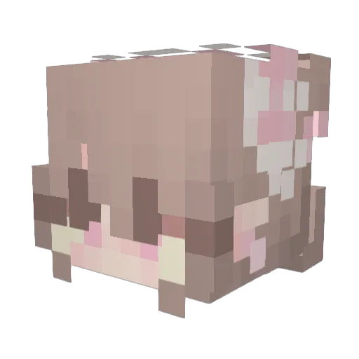 idontevenkno12 Minecraft avatar head, 3D render