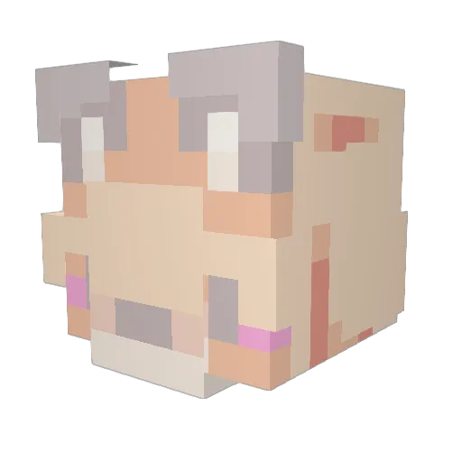 idreamsoul Minecraft avatar head, 3D render