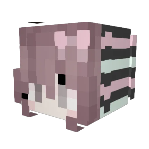 ieajaneea Minecraft avatar head, 3D render