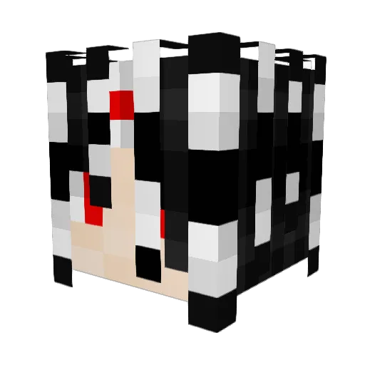 ieantrap Minecraft avatar head, 3D render