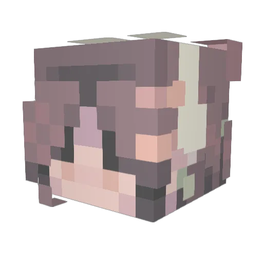 ieat2much Minecraft avatar head, 3D render