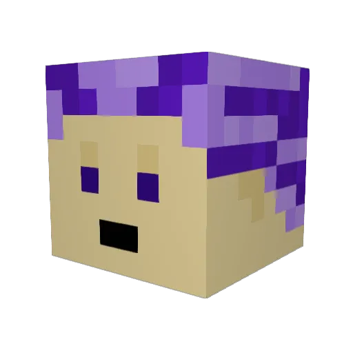 ieatash Minecraft avatar head, 3D render