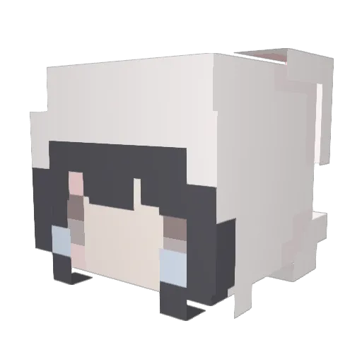 ieatrawmen Minecraft avatar head, 3D render