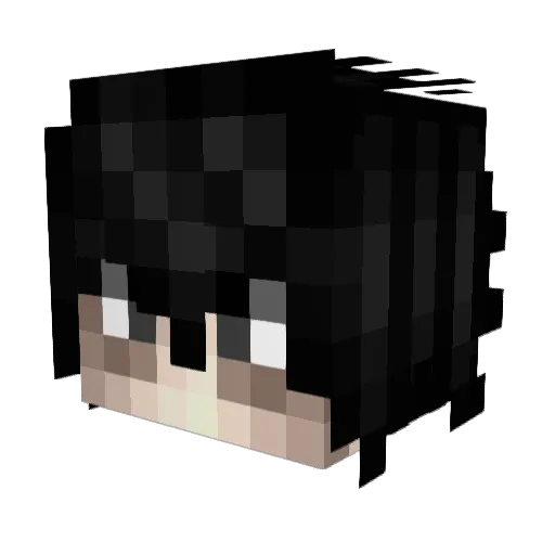 ieatrocks321 Minecraft avatar head, 3D render