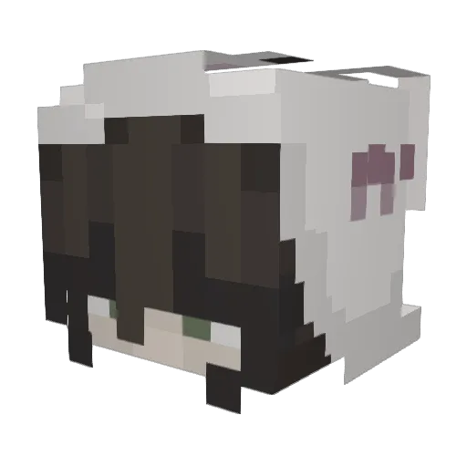 ieatsand2 Minecraft avatar head, 3D render