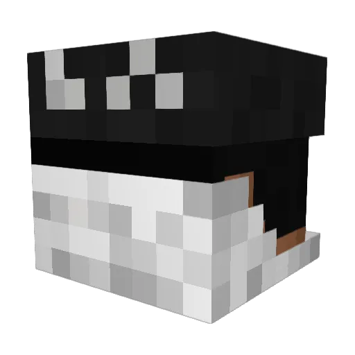 ieatzombiesx Minecraft avatar head, 3D render