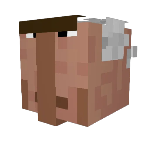 iel2 Minecraft avatar head, 3D render
