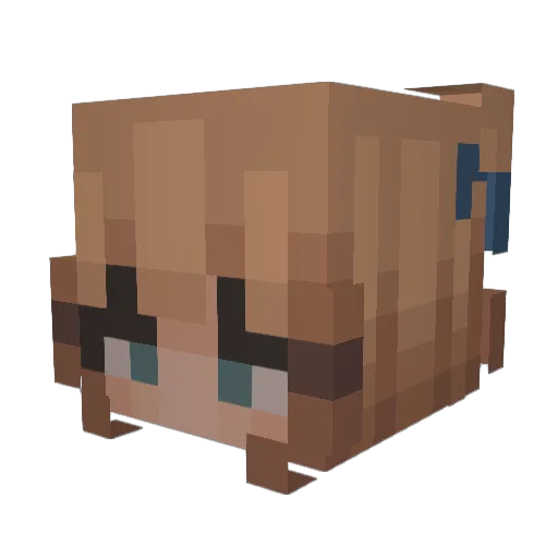 ietherexl Minecraft avatar head, 3D render