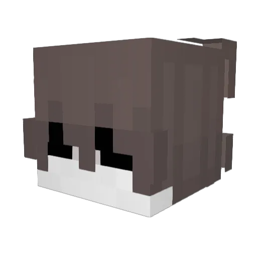 iextort Minecraft avatar head, 3D render
