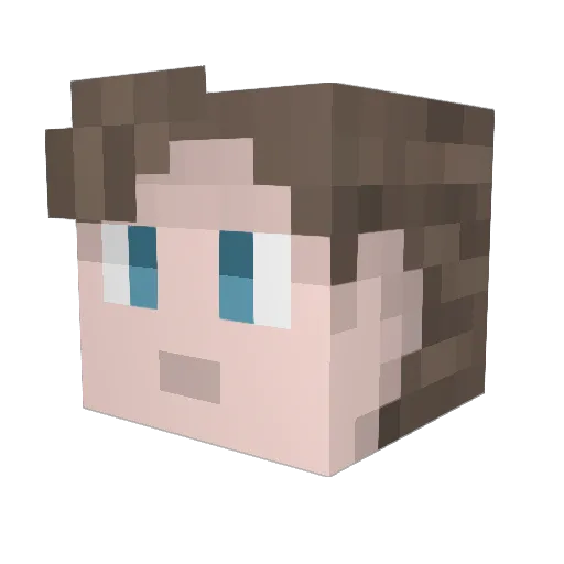 if9ool Minecraft avatar head, 3D render