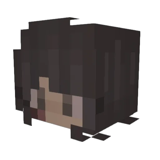 ifdusia Minecraft avatar head, 3D render