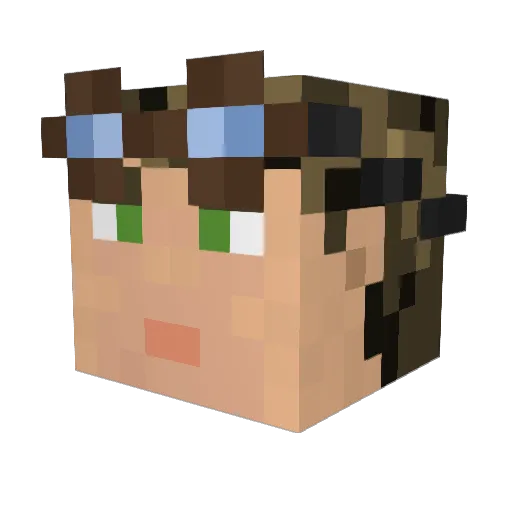 ifightbears_ Minecraft avatar head, 3D render