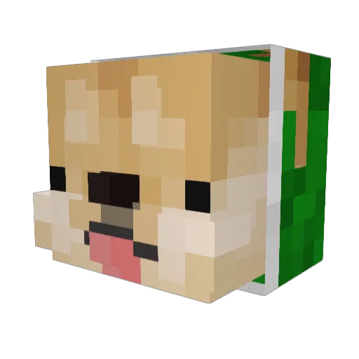 ifoldfish Minecraft avatar head, 3D render