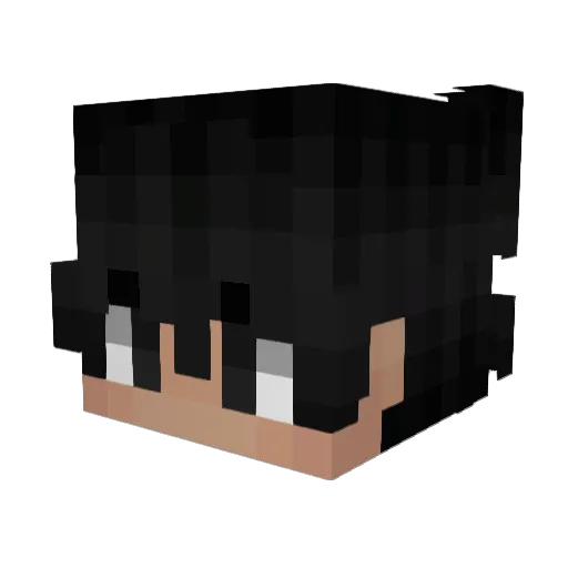 ifwjay Minecraft avatar head, 3D render