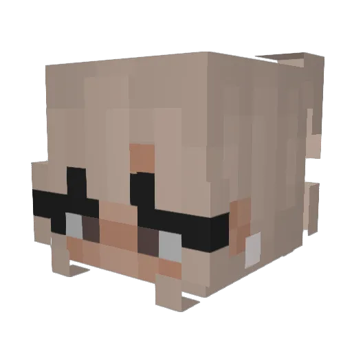 iga25 Minecraft avatar head, 3D render