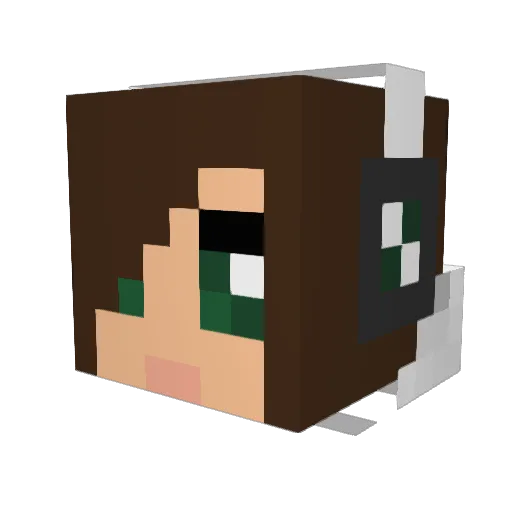 igarosi Minecraft avatar head, 3D render