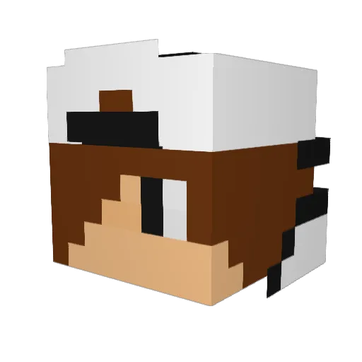 iggie626 Minecraft avatar head, 3D render