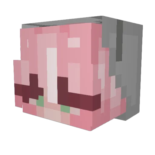 iggyigs124 Minecraft avatar head, 3D render