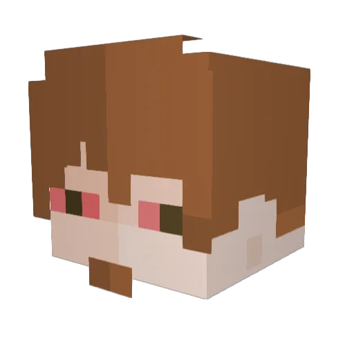 igi_96 Minecraft avatar head, 3D render