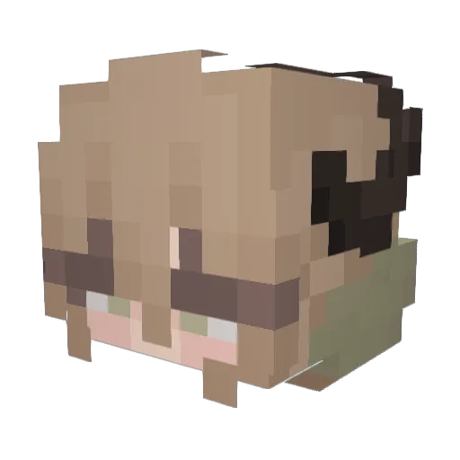 iglooghost Minecraft avatar head, 3D render