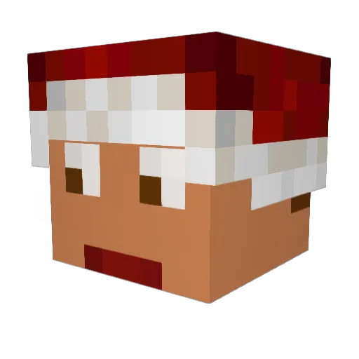 igluuuu Minecraft avatar head, 3D render