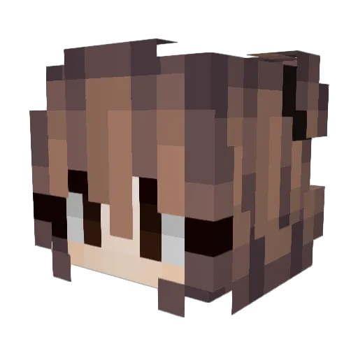 ignASTOLFO Minecraft avatar head, 3D render