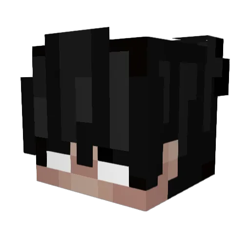 ignAether Minecraft avatar head, 3D render