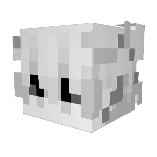 ignFlowz Minecraft avatar head, 3D render