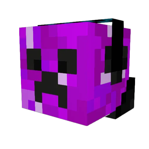 ignSavage Minecraft avatar head, 3D render