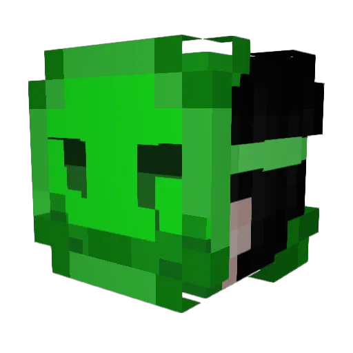 ignWho Minecraft avatar head, 3D render
