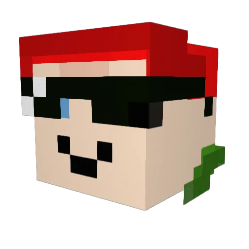 ignacyVIP100 Minecraft avatar head, 3D render