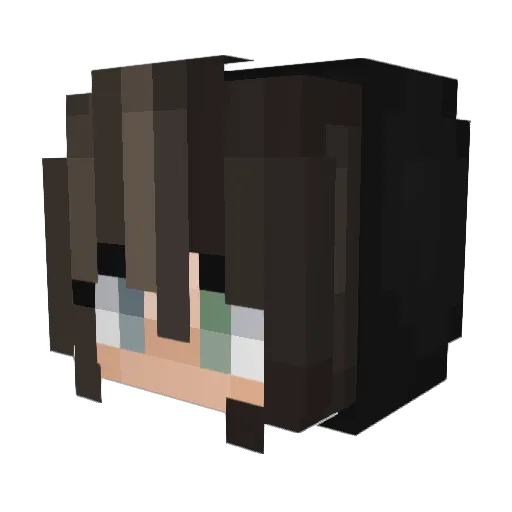 ignornt Minecraft avatar head, 3D render