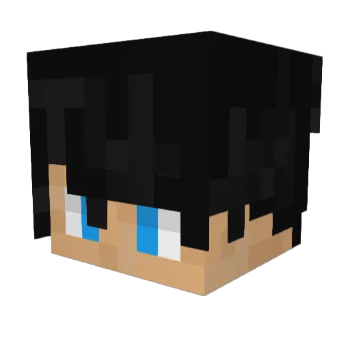 igorrogy14 Minecraft avatar head, 3D render