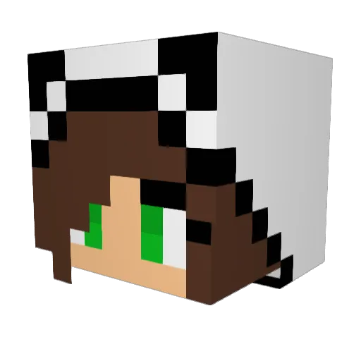igortita12 Minecraft avatar head, 3D render