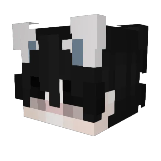 igorzycaaa Minecraft avatar head, 3D render