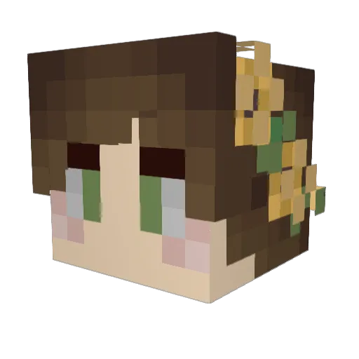 igotbigbigplans Minecraft avatar head, 3D render