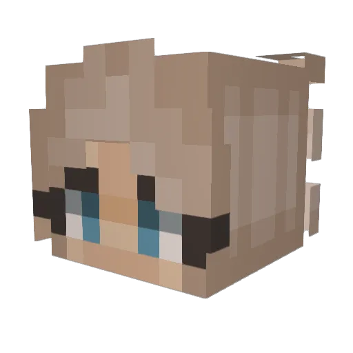igotmyownroom55 Minecraft avatar head, 3D render
