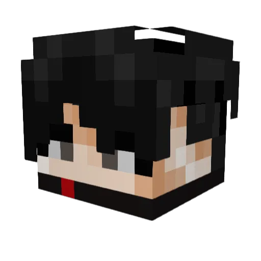 igt_ Minecraft avatar head, 3D render