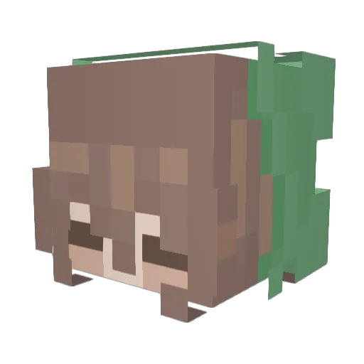 iguana009 Minecraft avatar head, 3D render