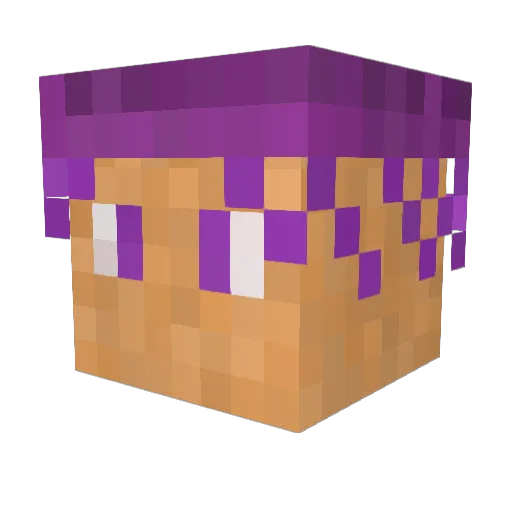 iguindocorsa Minecraft avatar head, 3D render