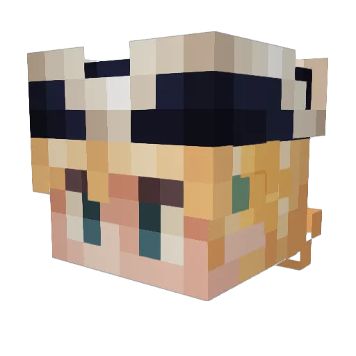 ih3rt5 Minecraft avatar head, 3D render