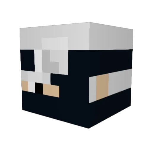 ih8ellaaa Minecraft avatar head, 3D render