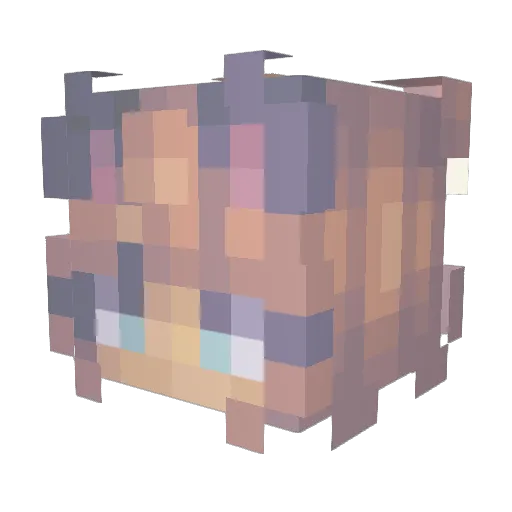 ihartmaddog Minecraft avatar head, 3D render