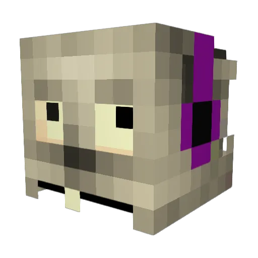ihasahat2000 Minecraft avatar head, 3D render