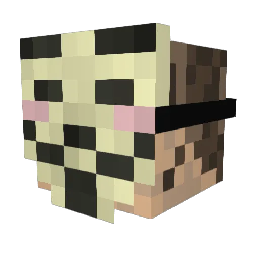 ihasnova Minecraft avatar head, 3D render