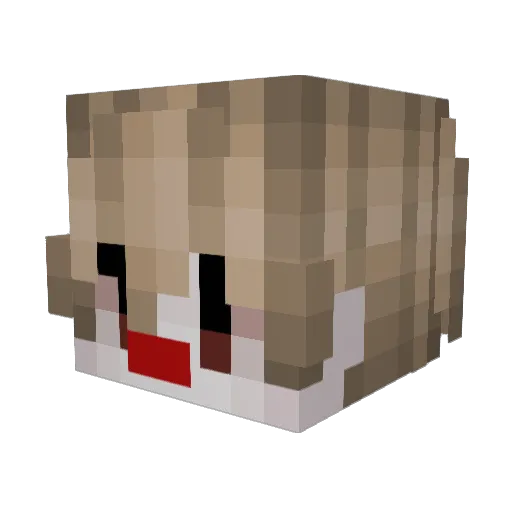 ihateliars Minecraft avatar head, 3D render