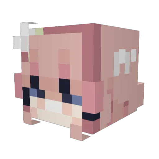 ihatestarry Minecraft avatar head, 3D render