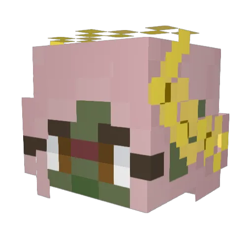 ihave3settings Minecraft avatar head, 3D render